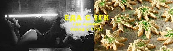 СК Ельня