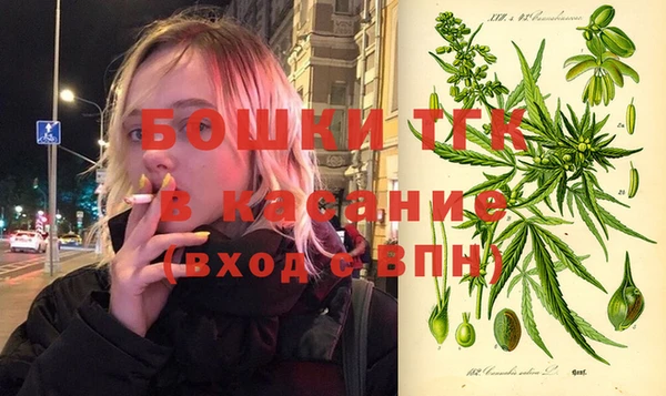СК Ельня