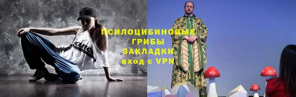 СК Ельня