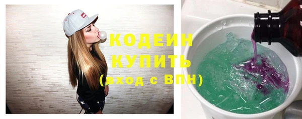 СК Ельня