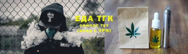 СК Ельня