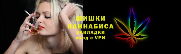 СК Ельня