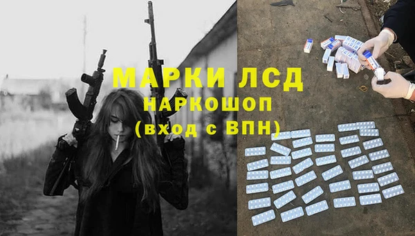 СК Ельня