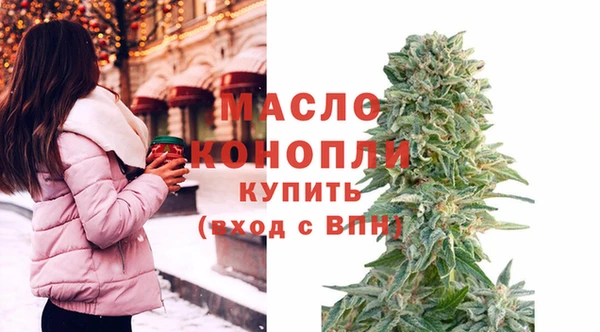 СК Ельня