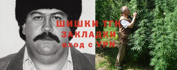 СК Ельня