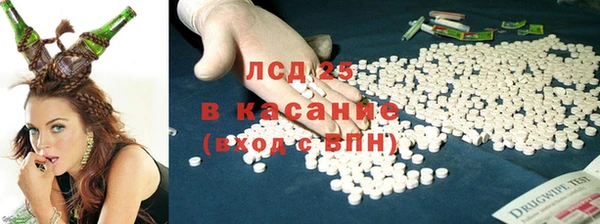MESCALINE Елизово